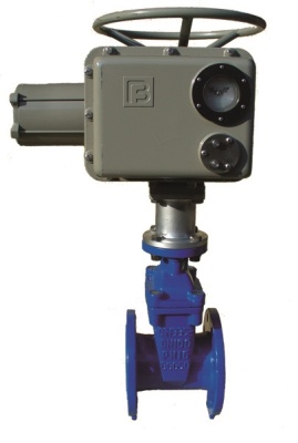 Задвижка с обрезиненным клином фланцевая ABRA с электроприводом Regada В Ижевске